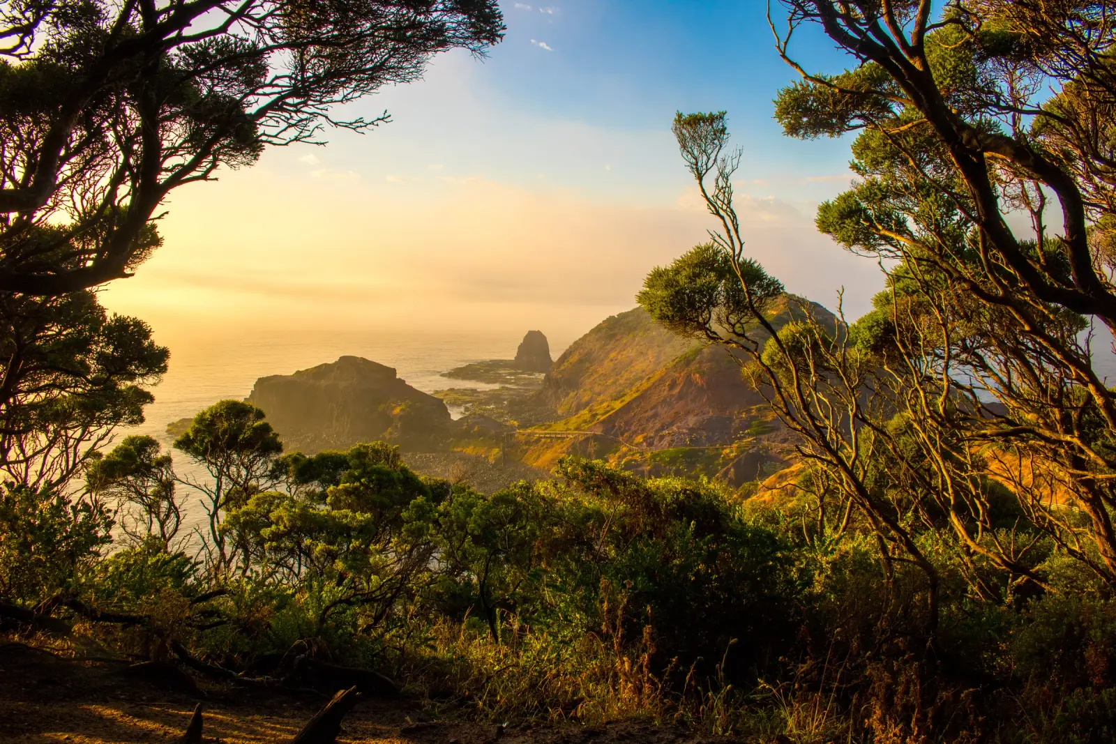 Mornington Peninsula landscape - representative image for Doot Doot Doot