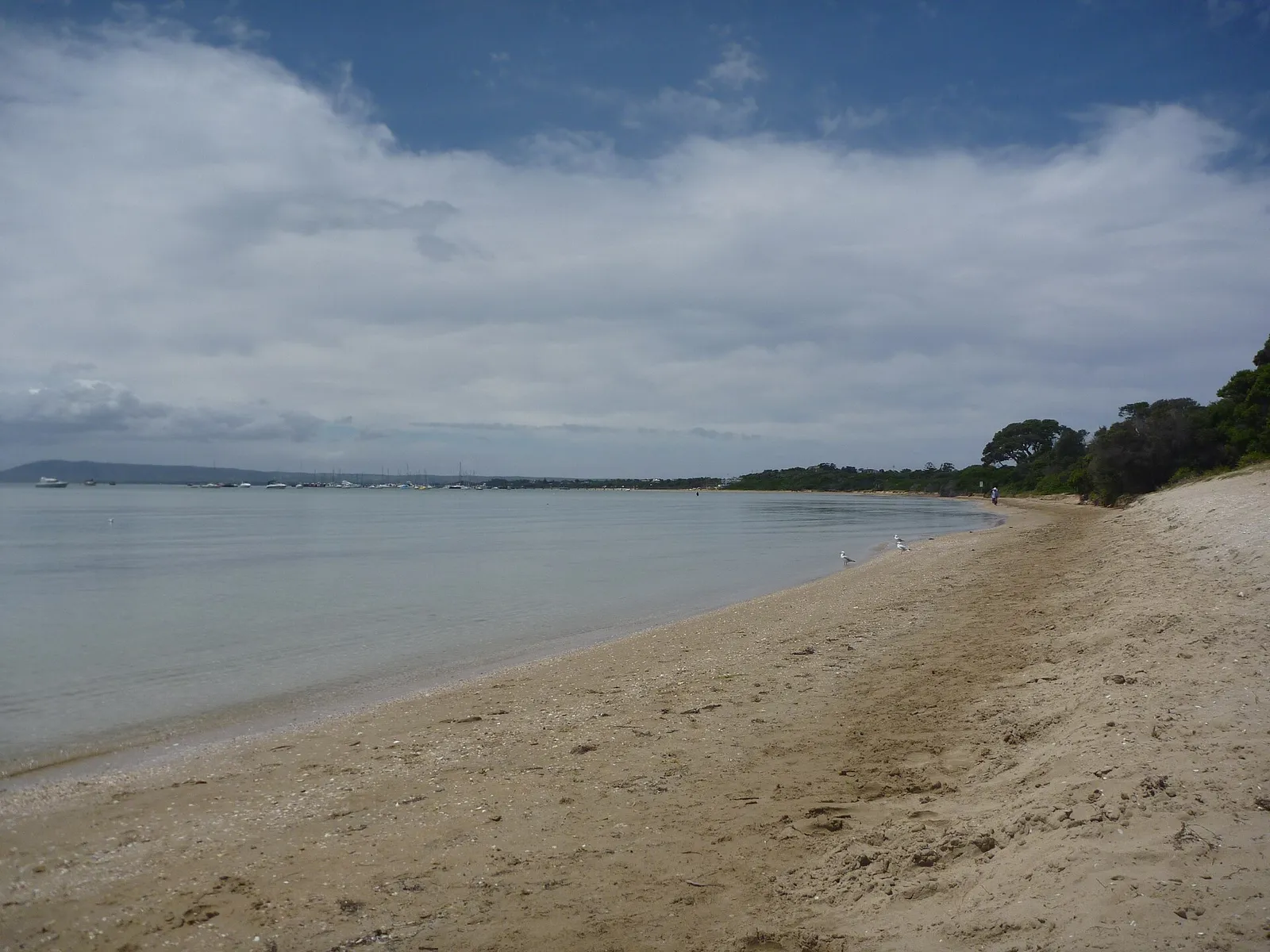 Mornington Peninsula - representative image for Blue Moon Cottages pending venue media