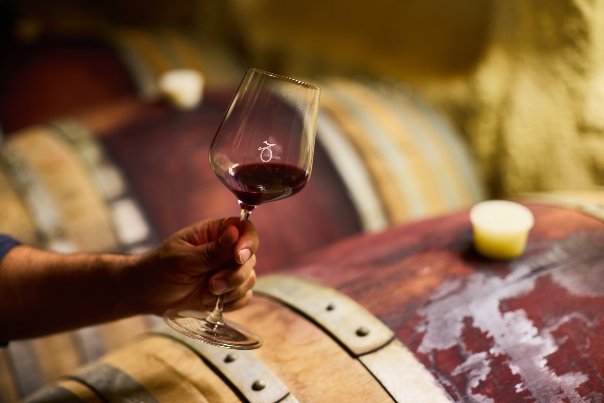 A glass of Avani pinot held above a row of barrels in the cellar