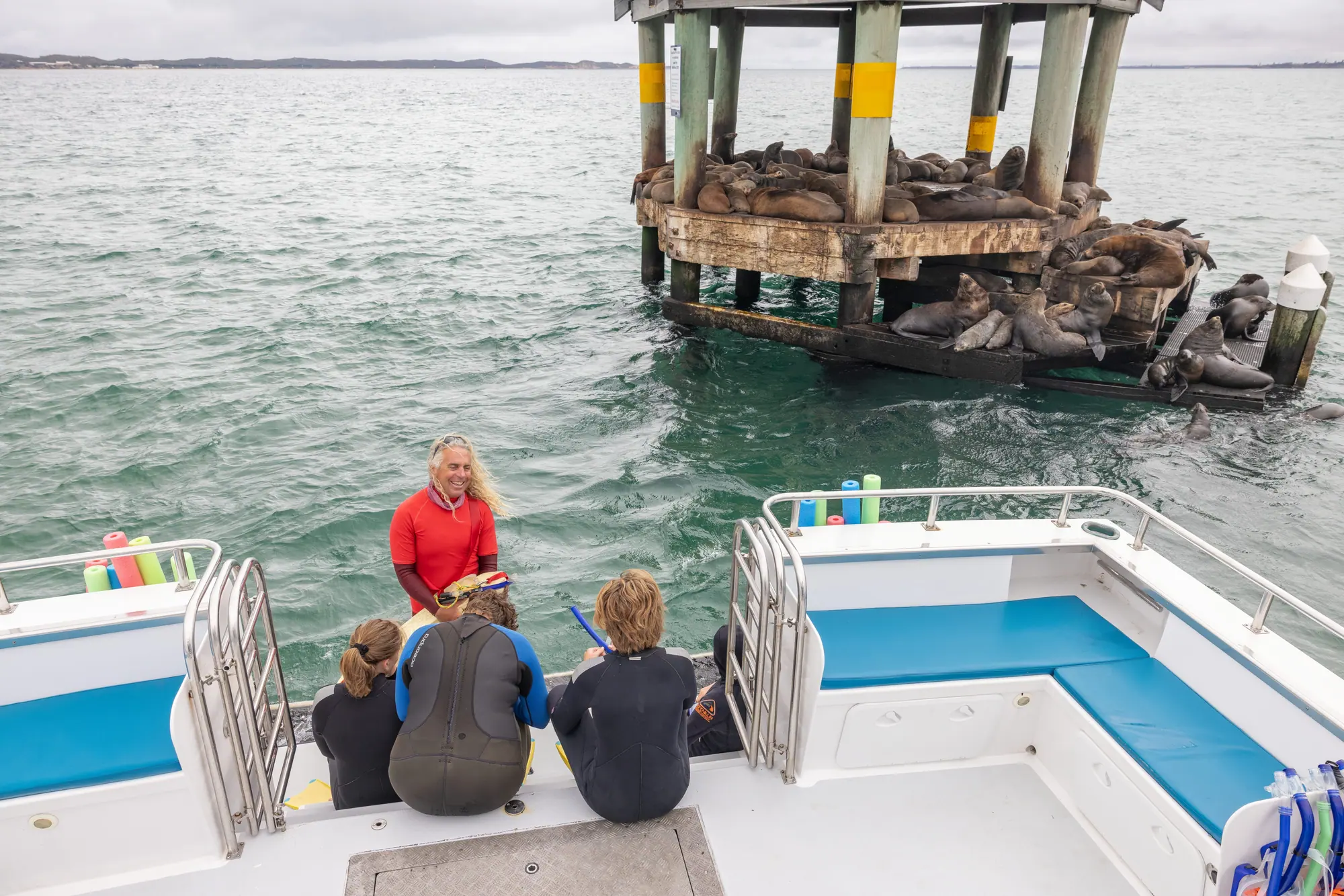 Snorkellers in wetsuits sit on a boat deck as a guide briefs them beside a marker platform crowded with fur seals