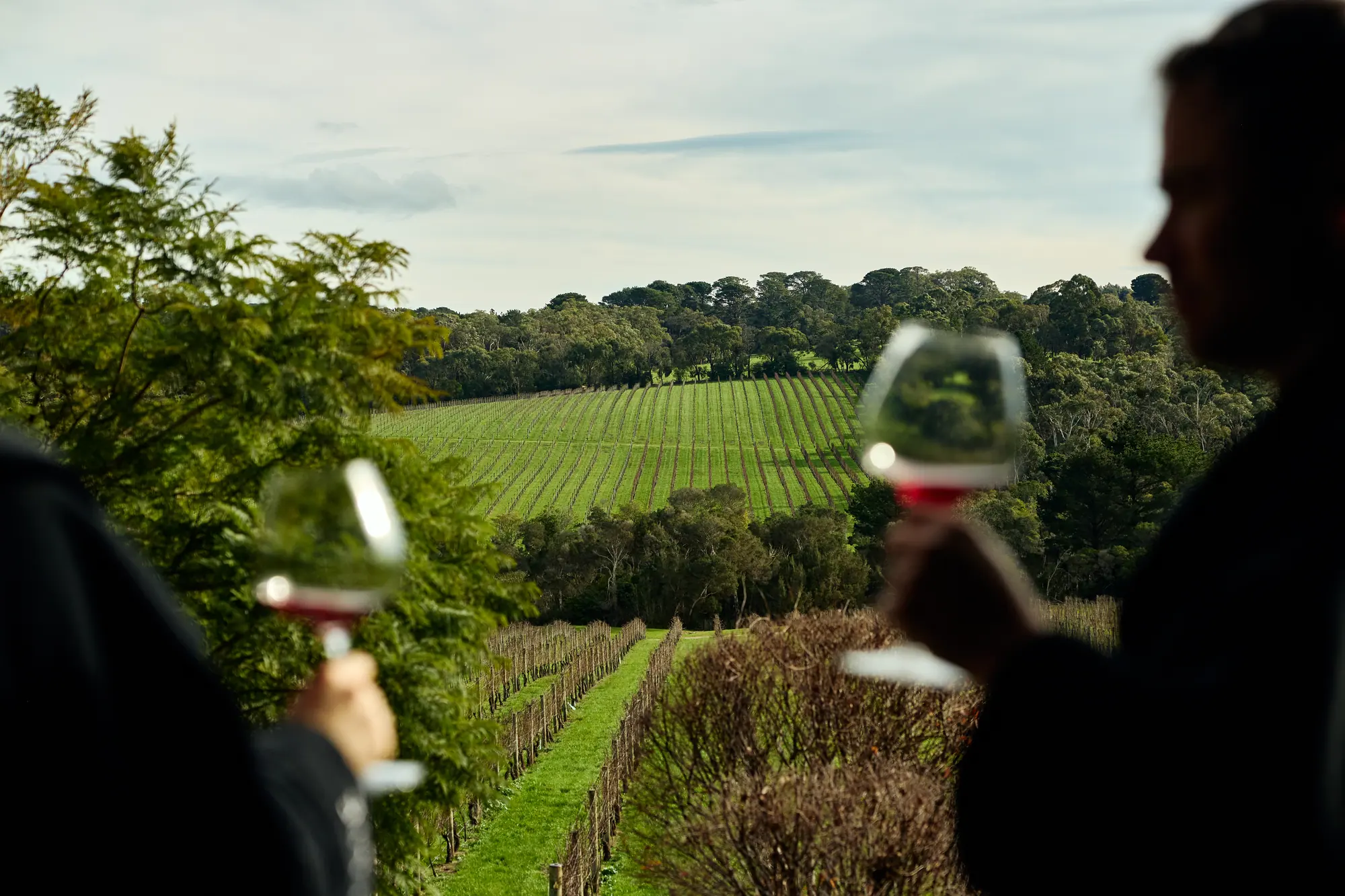 Two silhouetted guests raise glasses of red wine above a valley of vineyard rows and bushland at Jackalope Hotel